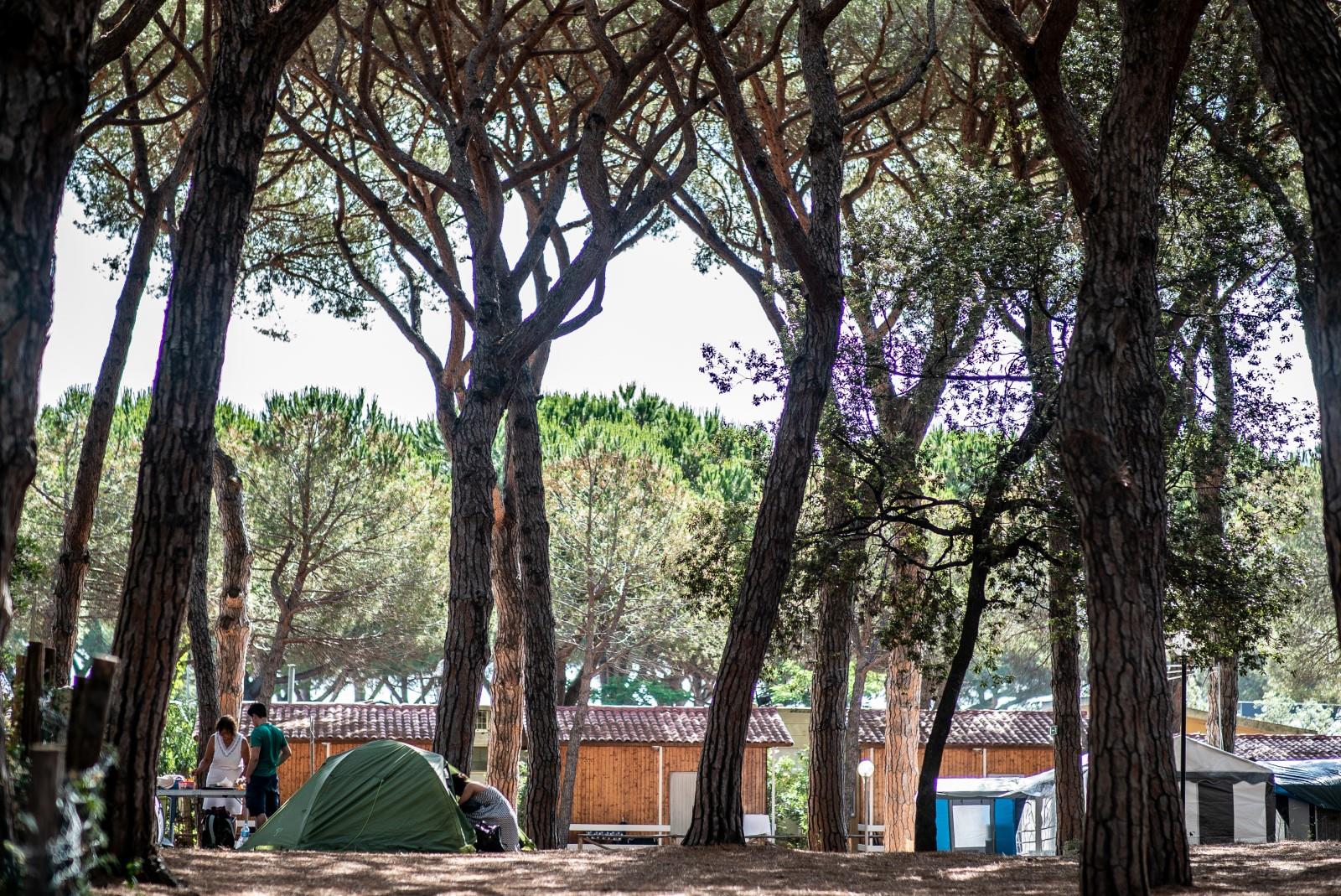 piazzole - Camping Village Oasi